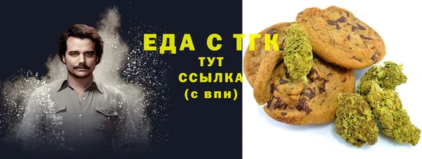 МДПВ Богородск
