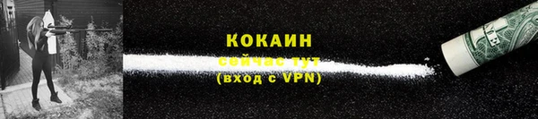 МДПВ Богородск