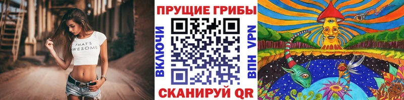 Галлюциногенные грибы прущие грибы  Красавино 