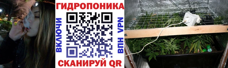 площадка состав  Красавино  Каннабис тримм 